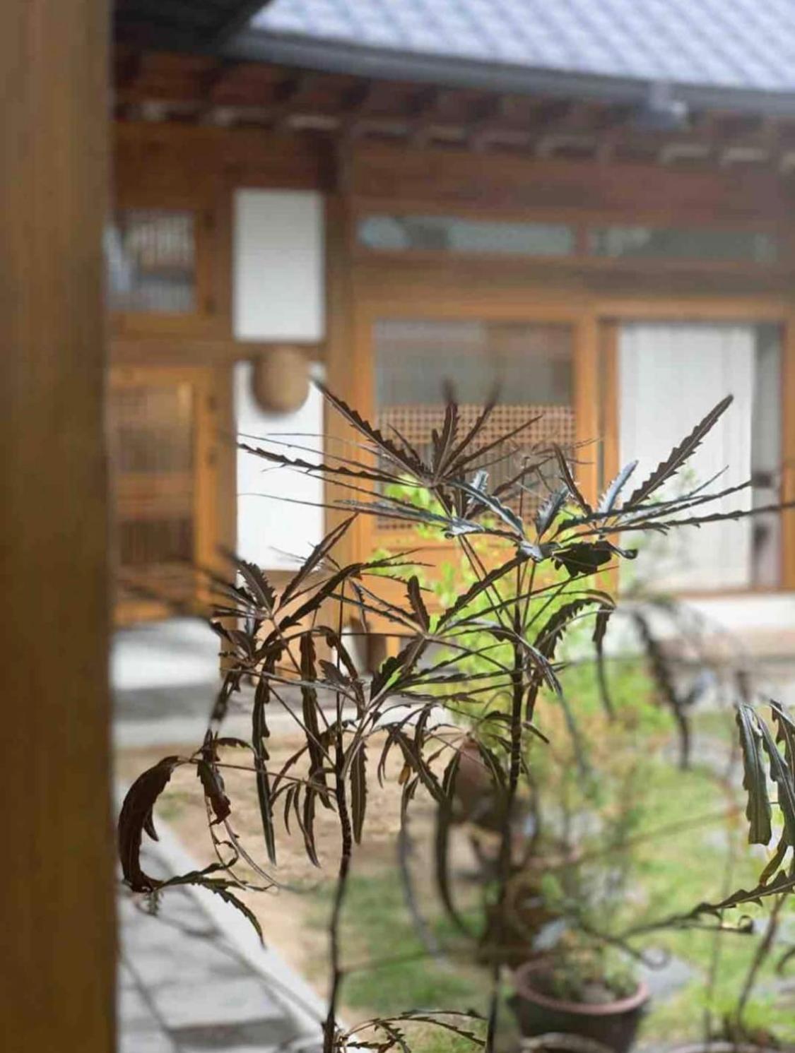 Sayu Hanok * Gyeongju