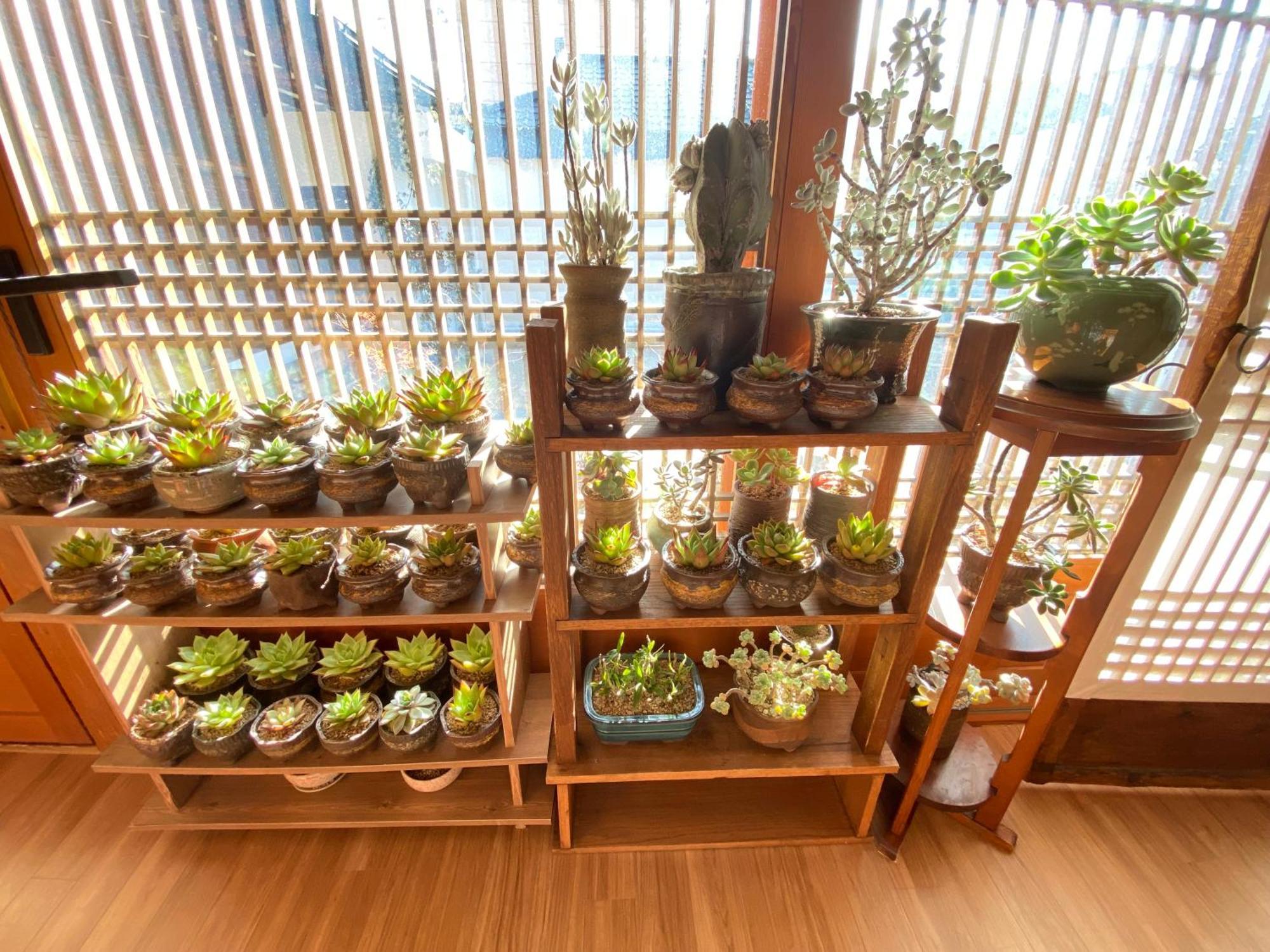 Sayu Hanok Gyeongju